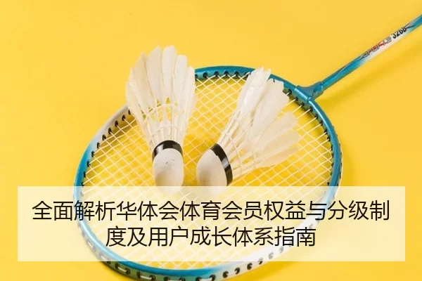 全面解析华体会体育会员权益与分级制度及用户成长体系指南